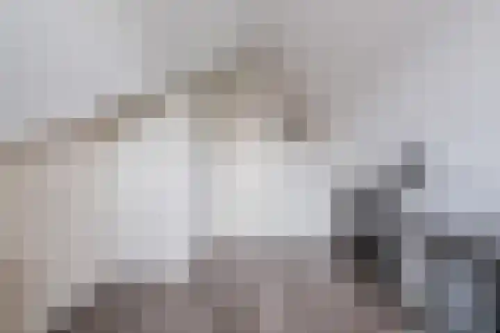 De Uitvang 78 Bergeijk thumbnail 19