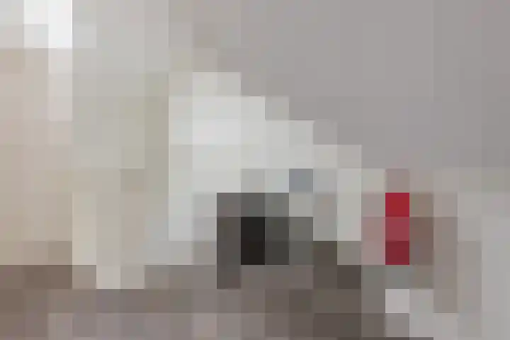 De Uitvang 78 Bergeijk thumbnail 20