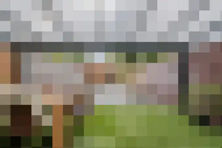 De Uitvang 78 Bergeijk thumbnail 22