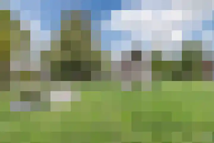 De Uitvang 78 Bergeijk thumbnail 24