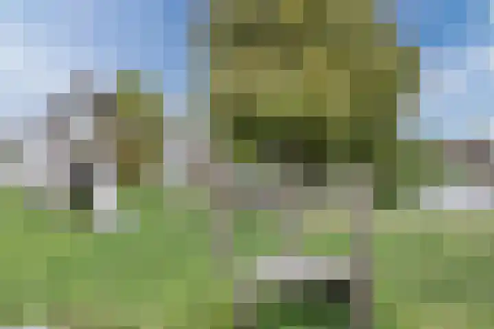 De Uitvang 78 Bergeijk thumbnail 25