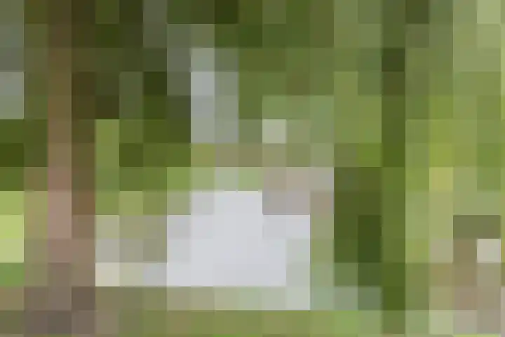 De Uitvang 78 Bergeijk thumbnail 26