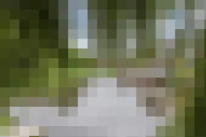 De Uitvang 78 Bergeijk thumbnail 27