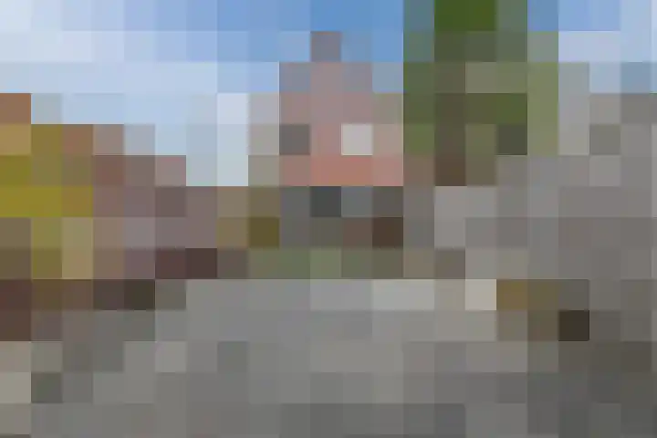 De Uitvang 78 Bergeijk foto 3
