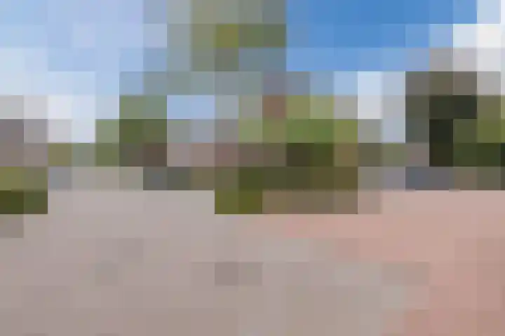 De Uitvang 78 Bergeijk thumbnail 4
