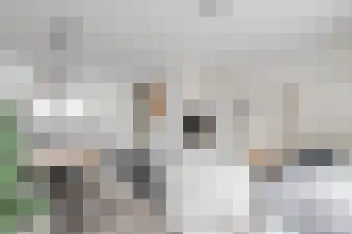 De Uitvang 78 Bergeijk thumbnail 6
