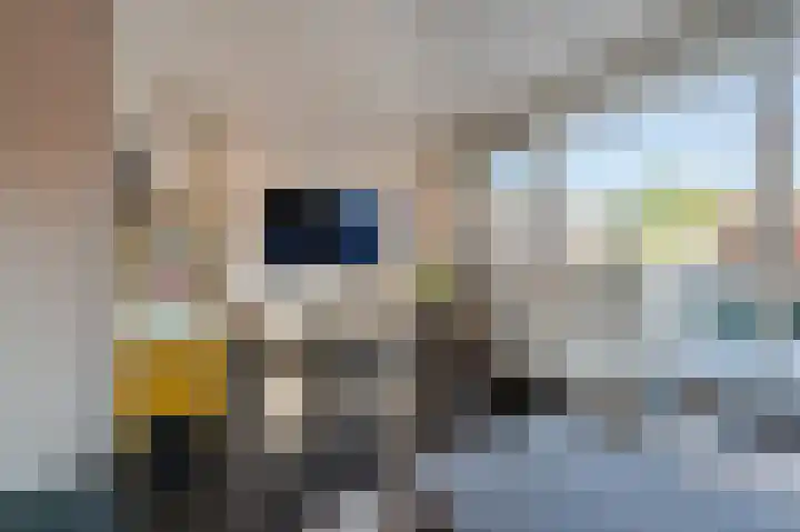 De Uitvang 86 Bergeijk thumbnail 11