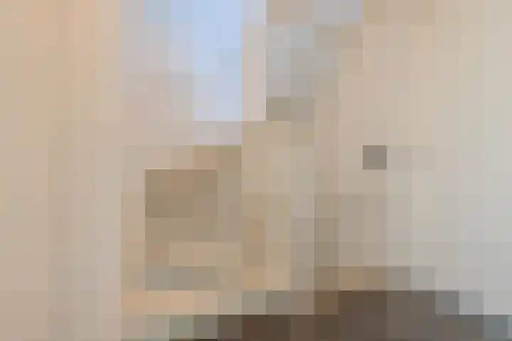De Uitvang 86 Bergeijk thumbnail 31