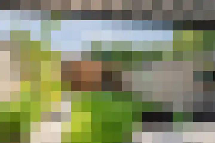De Uitvang 86 Bergeijk thumbnail 35