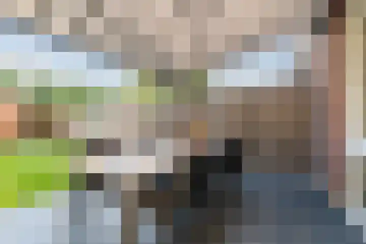 De Uitvang 86 Bergeijk thumbnail 36