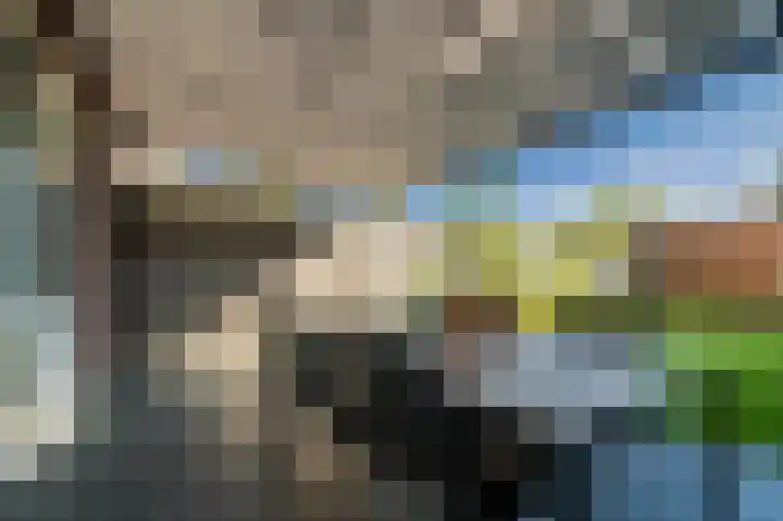 De Uitvang 86 Bergeijk thumbnail 38