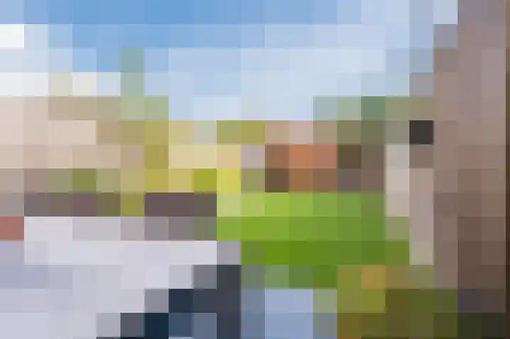 De Uitvang 86 Bergeijk thumbnail 40
