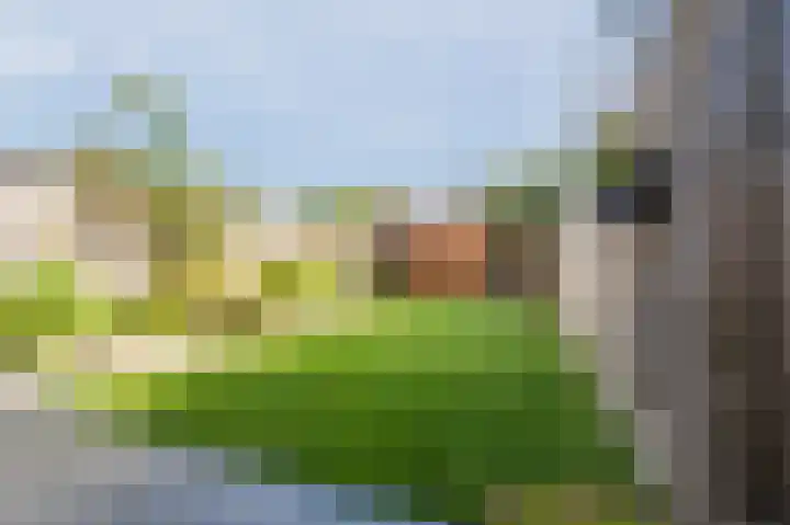 De Uitvang 86 Bergeijk thumbnail 41