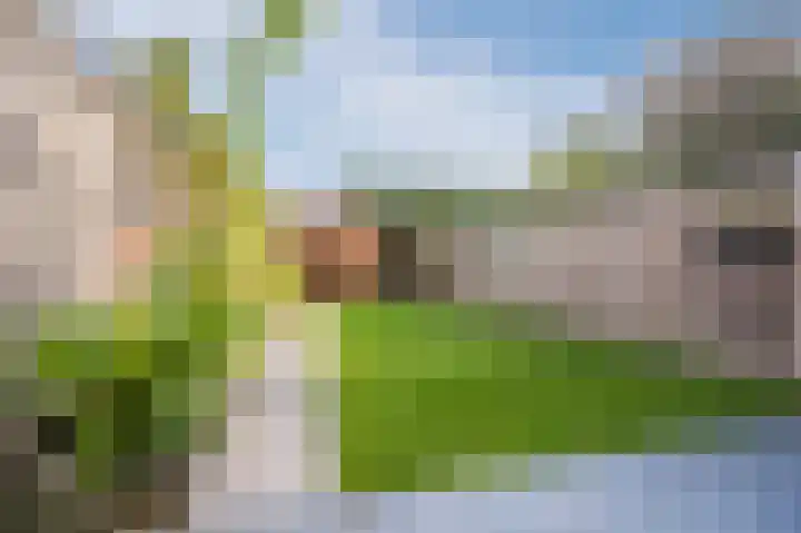 De Uitvang 86 Bergeijk thumbnail 42