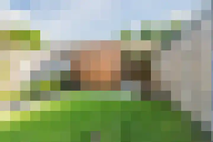 De Uitvang 86 Bergeijk thumbnail 44