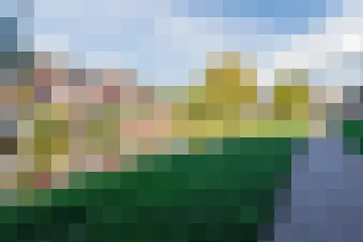 De Uitvang 86 Bergeijk thumbnail 46