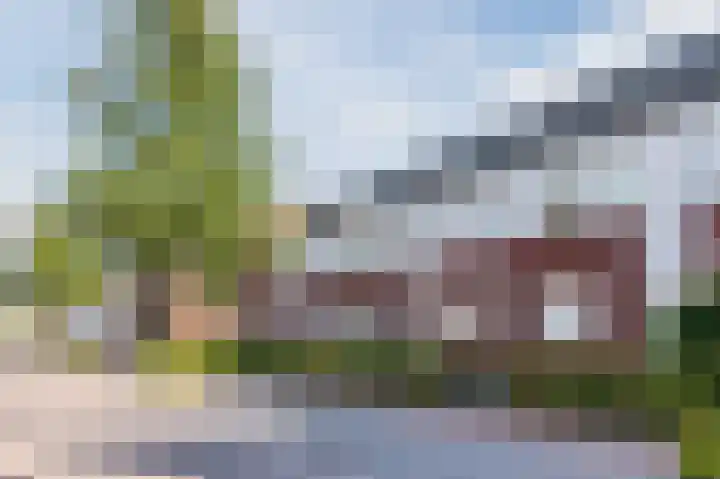 De Uitvang 86 Bergeijk thumbnail 47