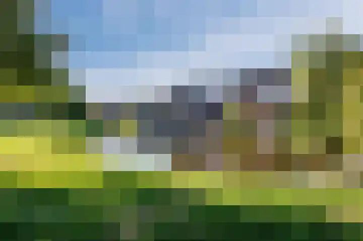 De Uitvang 86 Bergeijk thumbnail 49