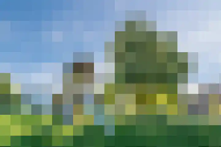 De Uitvang 86 Bergeijk thumbnail 50