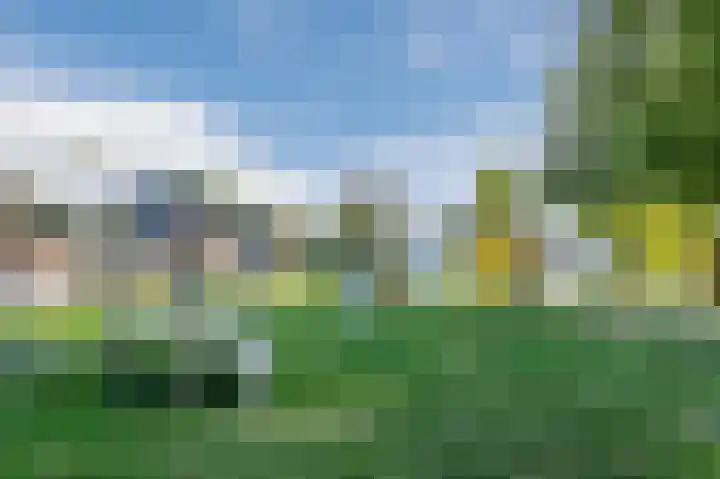 De Uitvang 86 Bergeijk thumbnail 51
