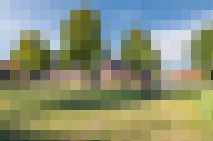 De Uitvang 86 Bergeijk thumbnail 52
