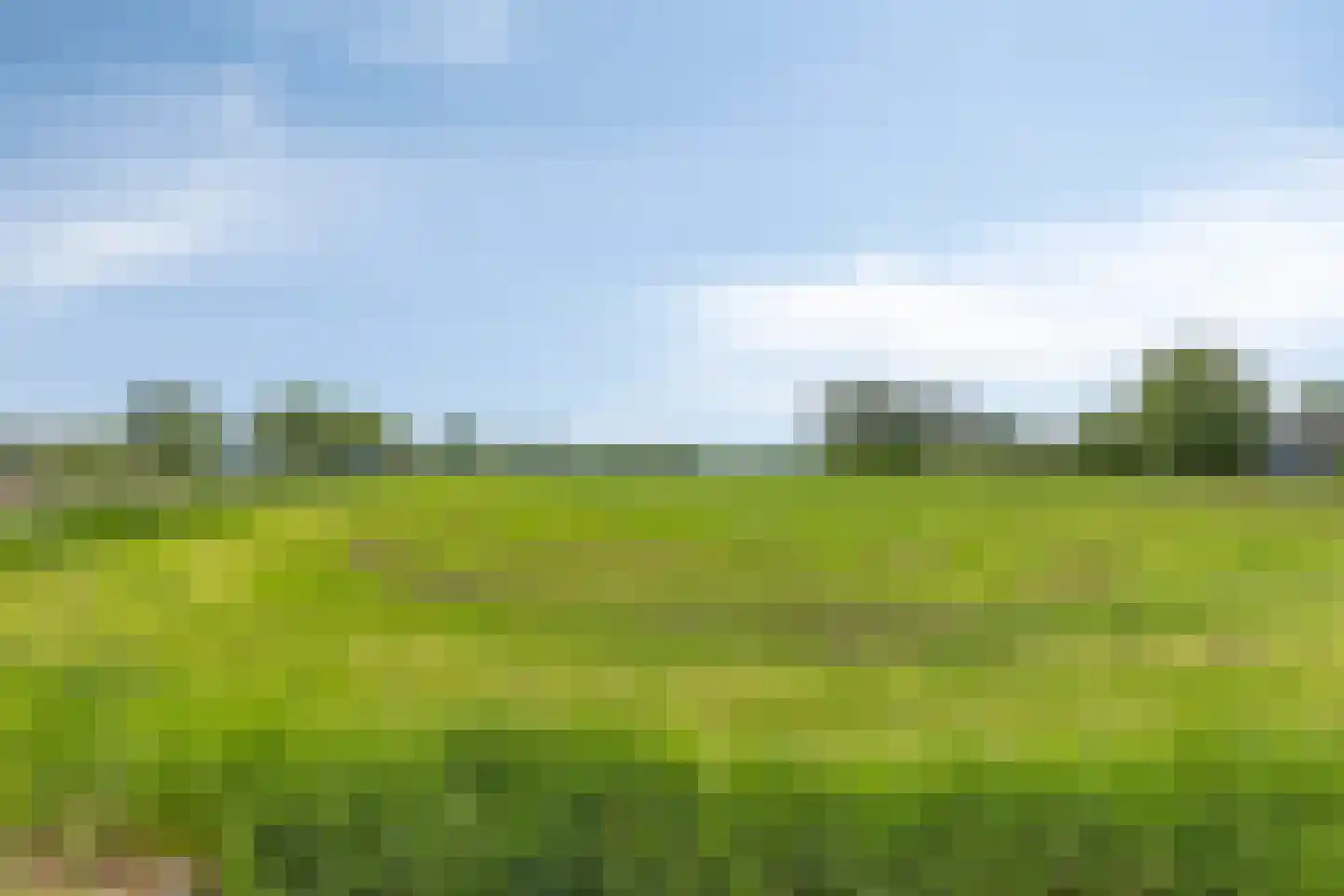 De Uitvang 92 Bergeijk thumbnail 37
