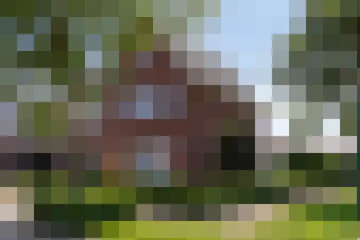 De Uitvang 94 Bergeijk