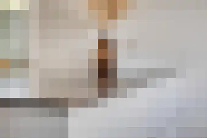 De Uitvang 94 Bergeijk thumbnail 11