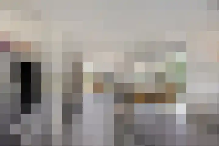 De Uitvang 94 Bergeijk thumbnail 14