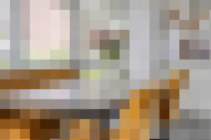 De Uitvang 94 Bergeijk thumbnail 16
