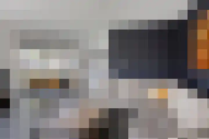 De Uitvang 94 Bergeijk thumbnail 17