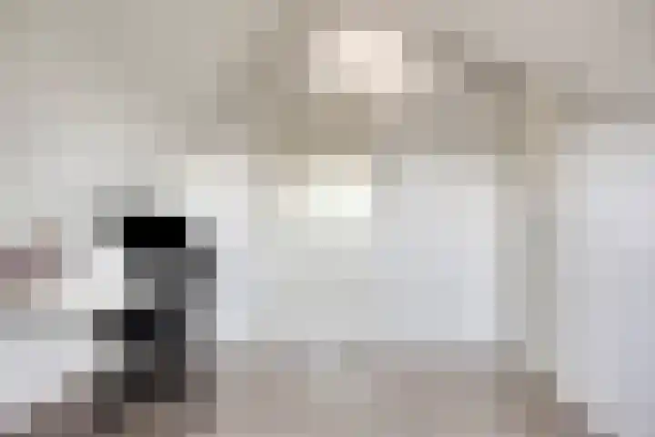 De Uitvang 94 Bergeijk thumbnail 36