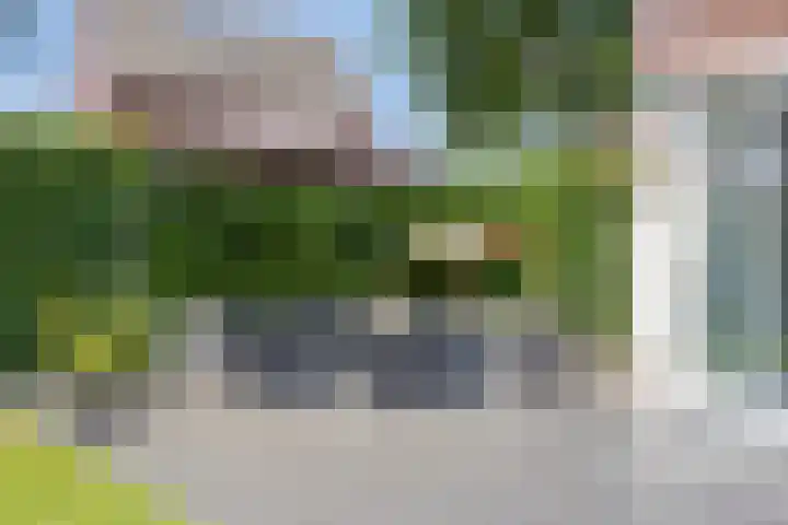 De Uitvang 94 Bergeijk thumbnail 42