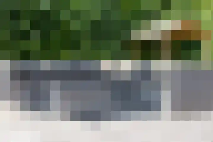 De Uitvang 94 Bergeijk thumbnail 45