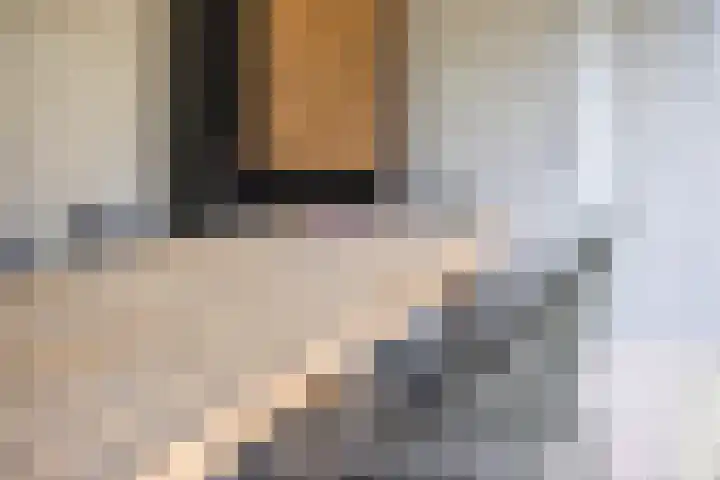 De Uitvang 94 Bergeijk thumbnail 46