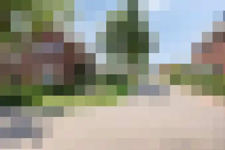 De Uitvang 94 Bergeijk thumbnail 48