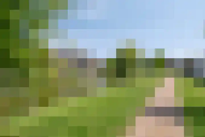De Uitvang 94 Bergeijk thumbnail 49