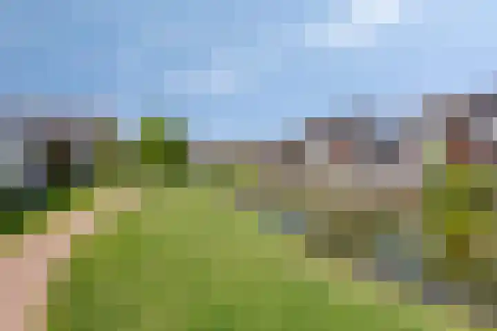 De Uitvang 94 Bergeijk thumbnail 50