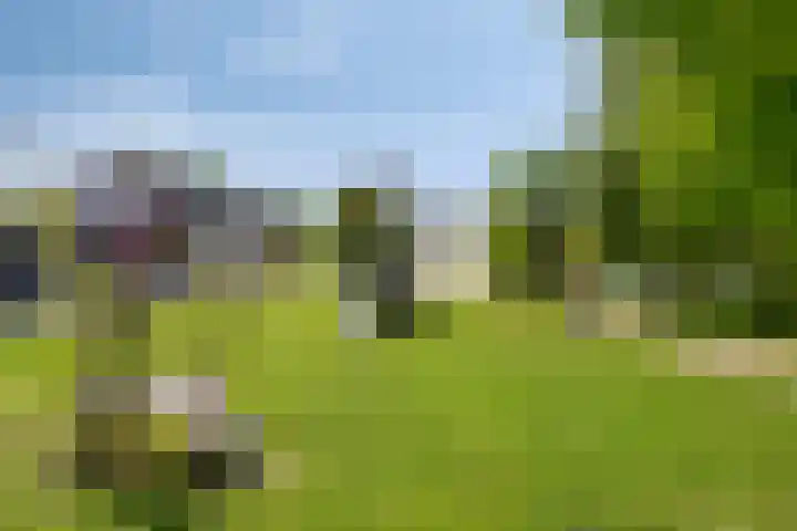 De Uitvang 94 Bergeijk thumbnail 51