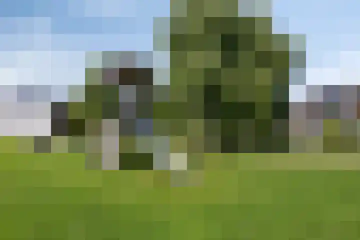De Uitvang 94 Bergeijk thumbnail 52