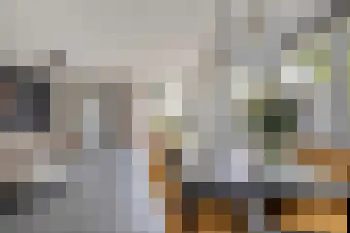 De Uitvang 94 Bergeijk thumbnail 6