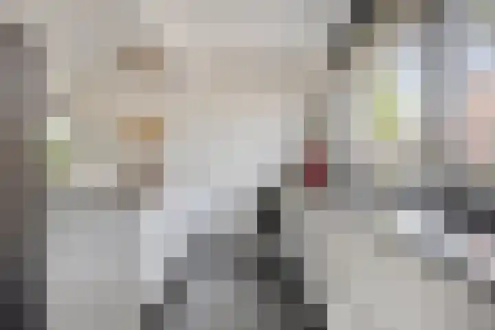 De Uitvang 94 Bergeijk thumbnail 9