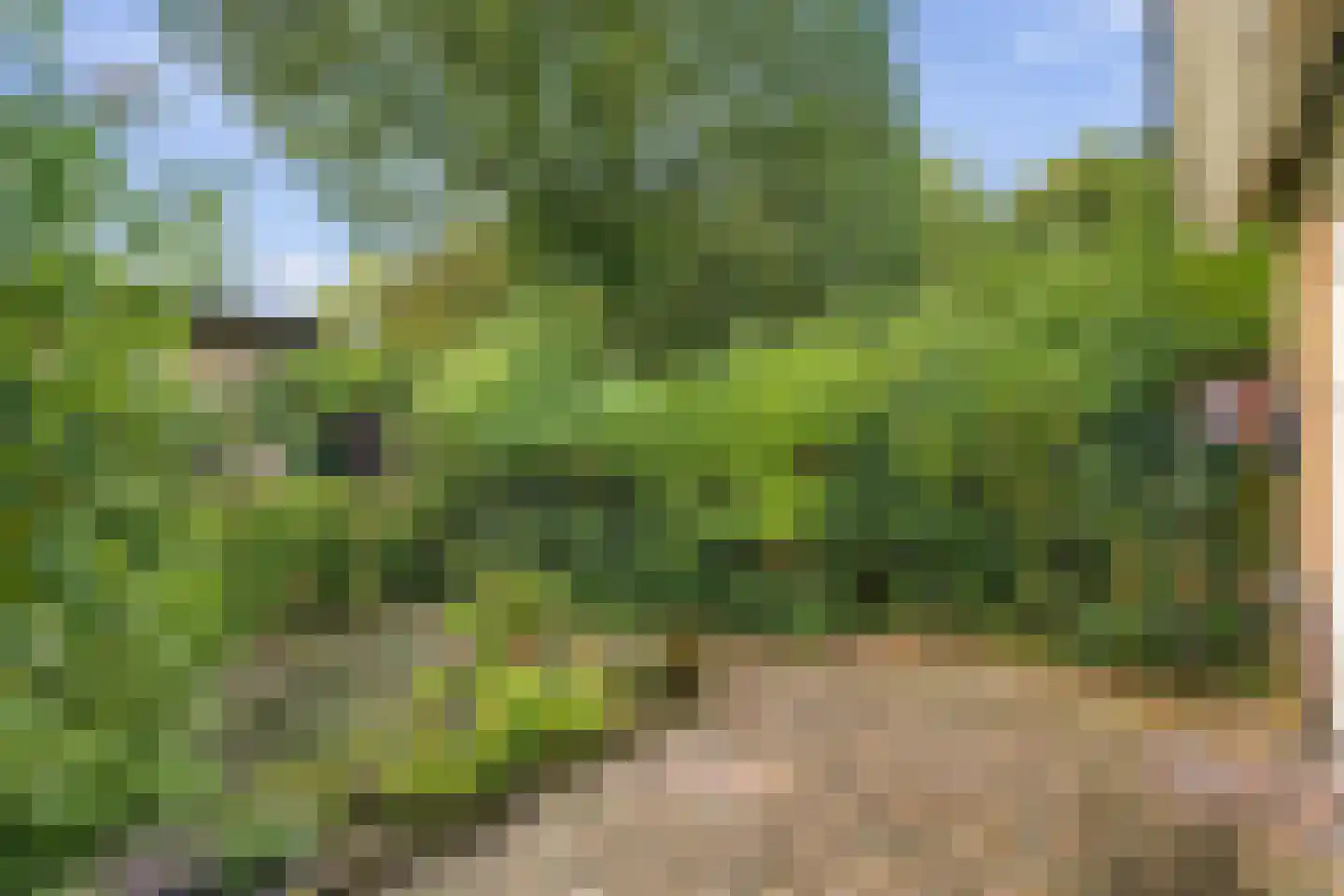 De Uitvlugt 2 Amstelveen thumbnail 12