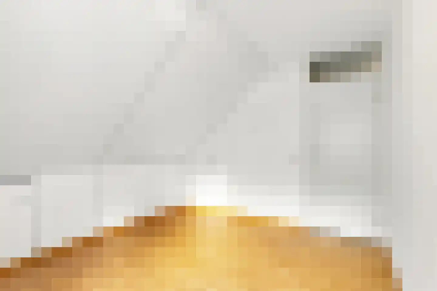 De Uitvlugt 2 Amstelveen thumbnail 23