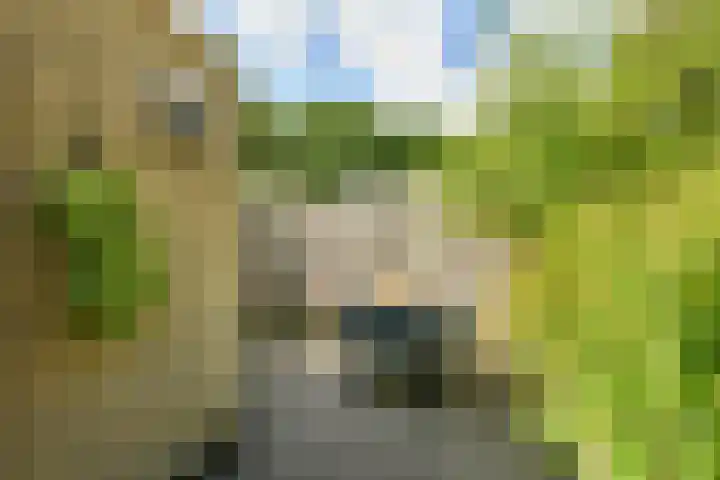 De Uitvlugt 55 Amstelveen thumbnail 10