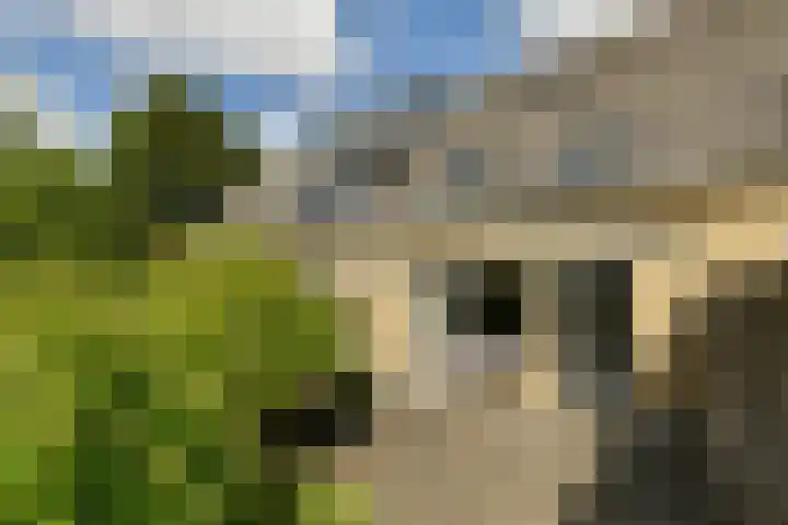 De Uitvlugt 55 Amstelveen thumbnail 11
