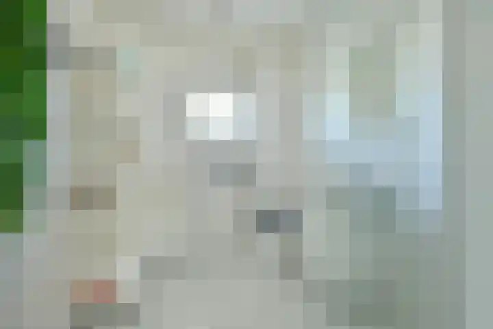 De Uitvlugt 55 Amstelveen thumbnail 13