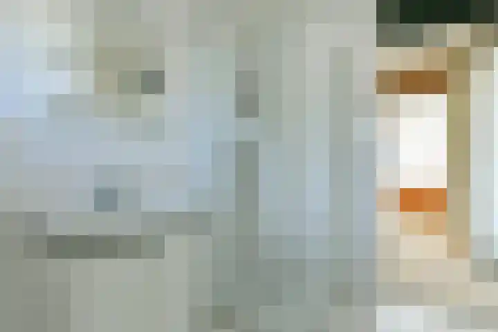 De Uitvlugt 55 Amstelveen thumbnail 14