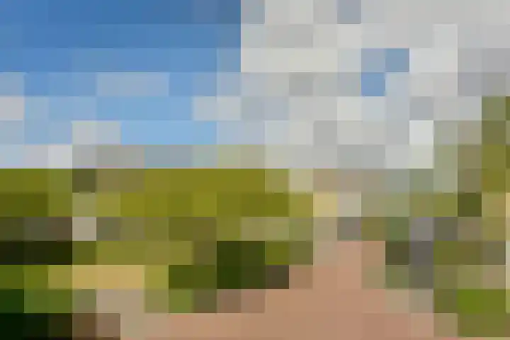 De Uitvlugt 55 Amstelveen thumbnail 18
