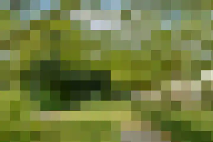 De Uitvlugt 55 Amstelveen thumbnail 19